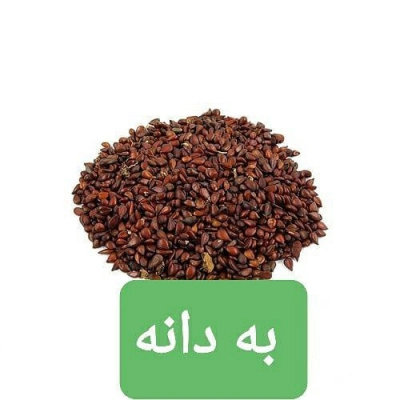 خرید تخم به